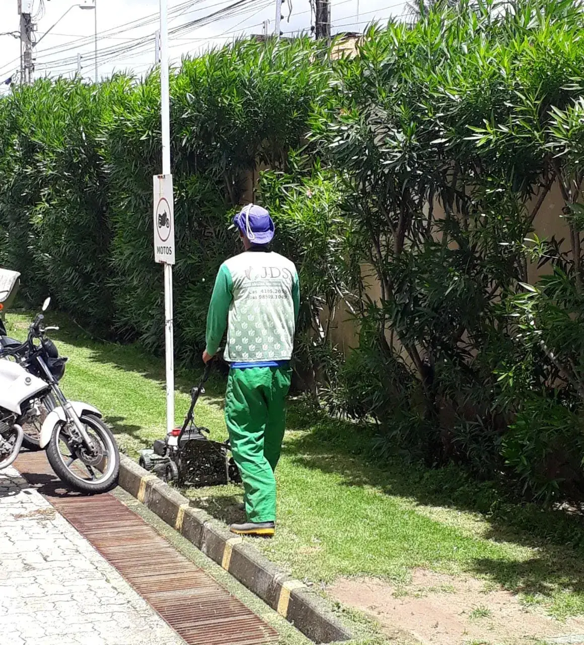 Manutenção de cerca viva