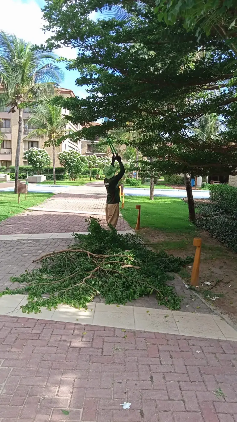 Manutenção de jardins
